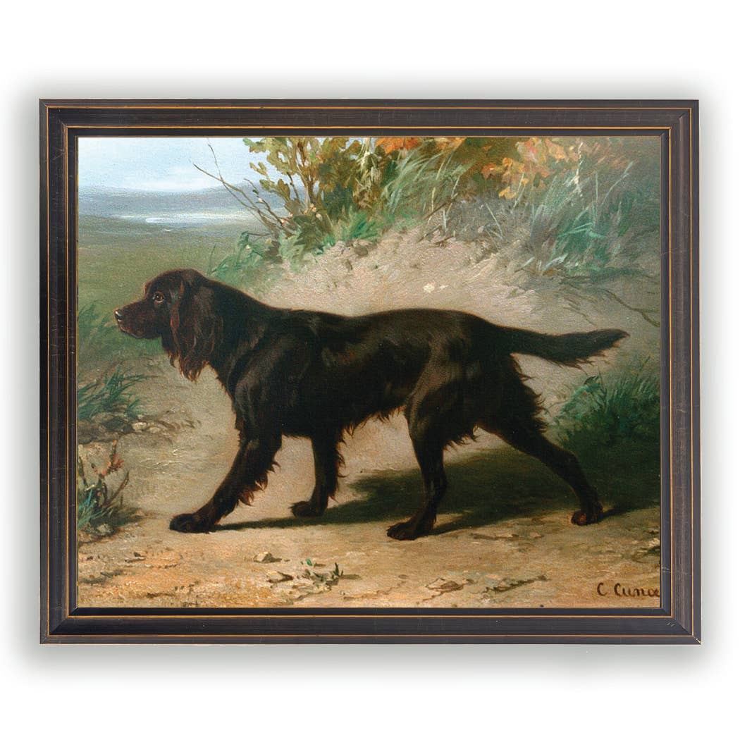 Boykin Spaniel Oil Painting, Gold Frame