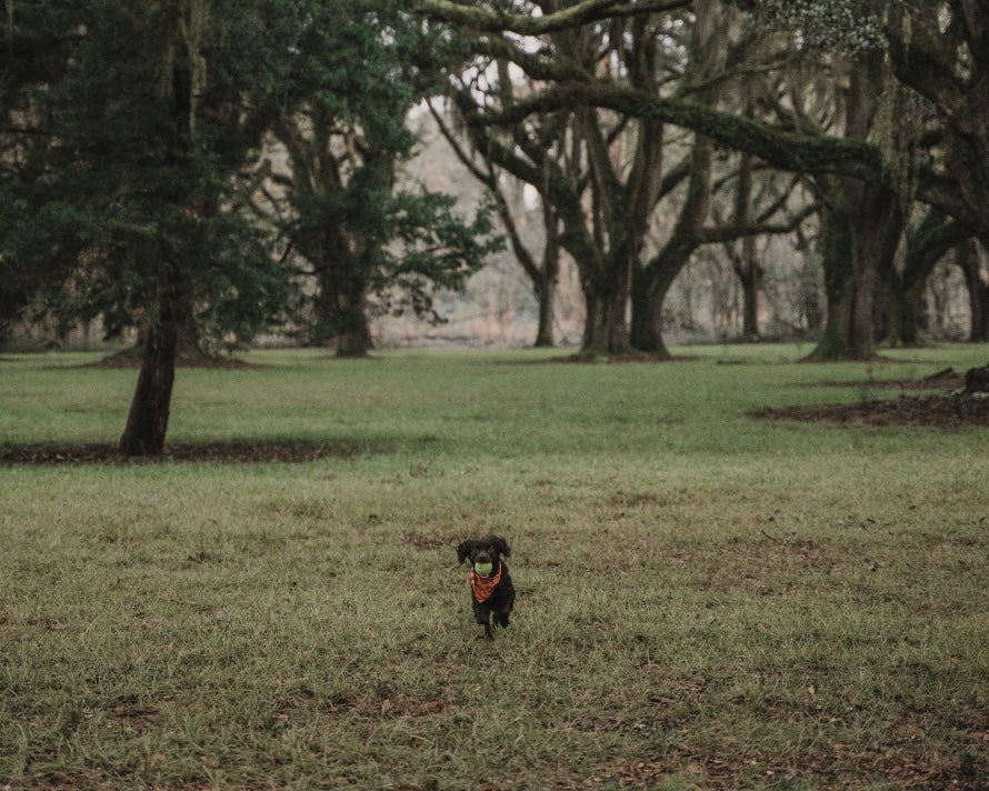 Wimberly & Friends