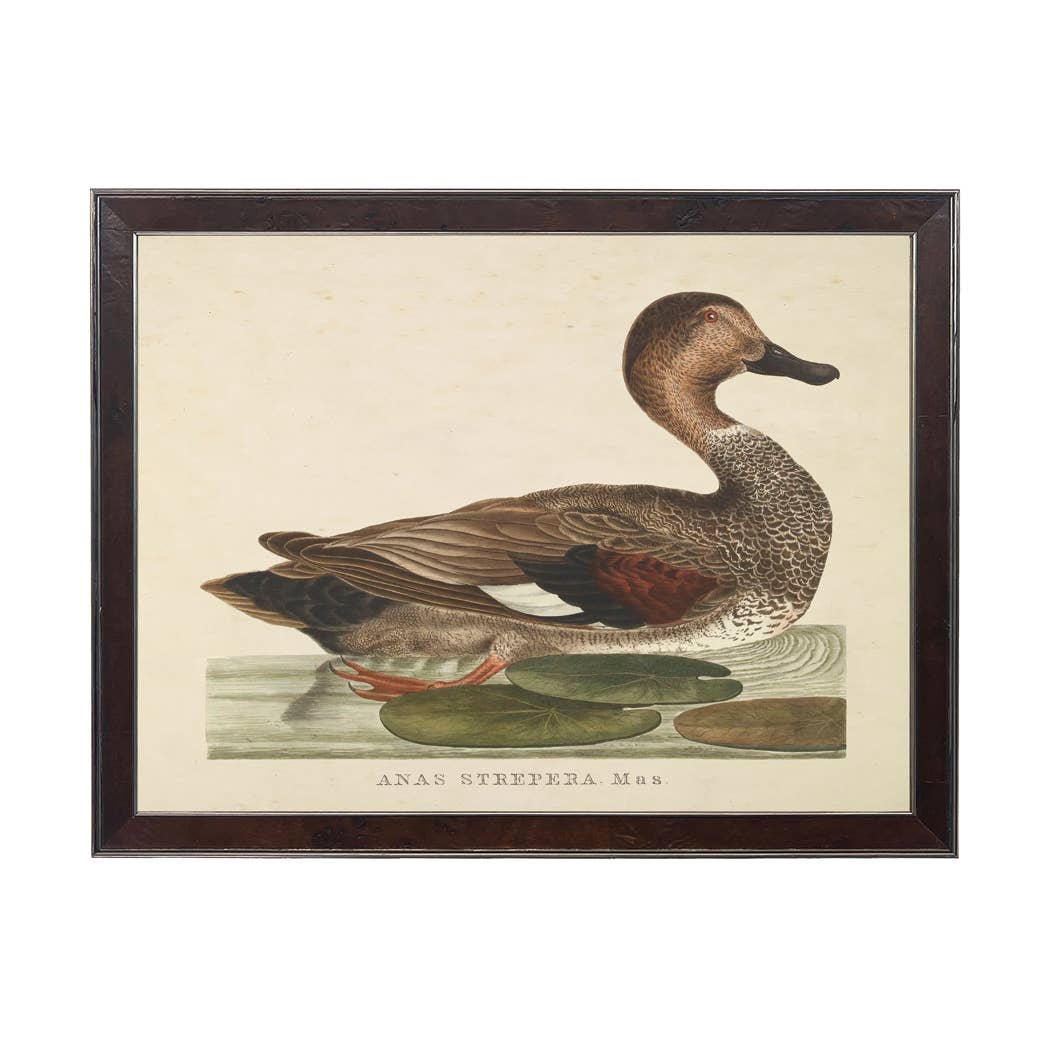 Vintage Duck Bookplate, Wooden Frame