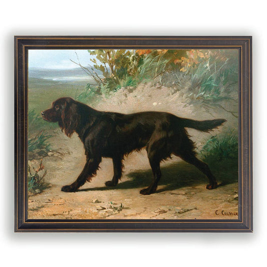Boykin Spaniel Oil Painting, Gold Frame