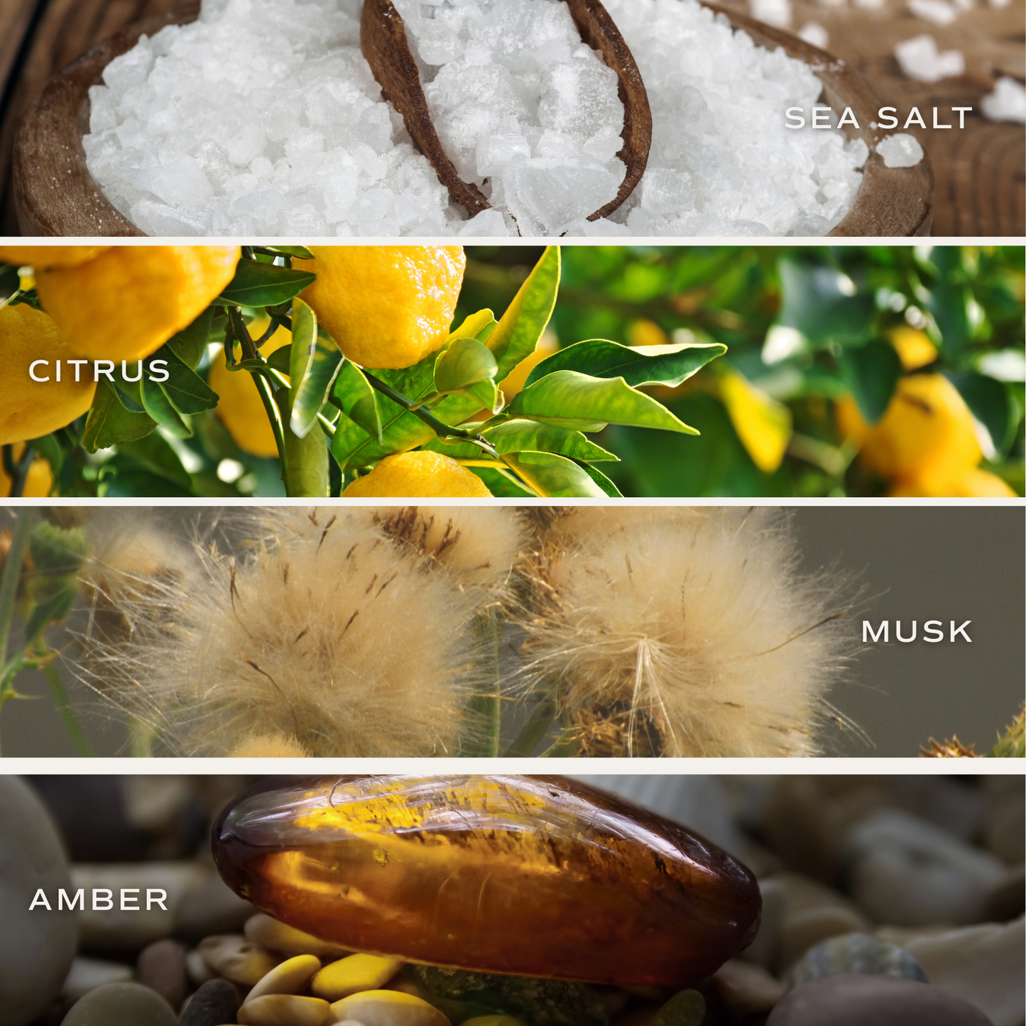 Reed Diffuser, Sea + Salt