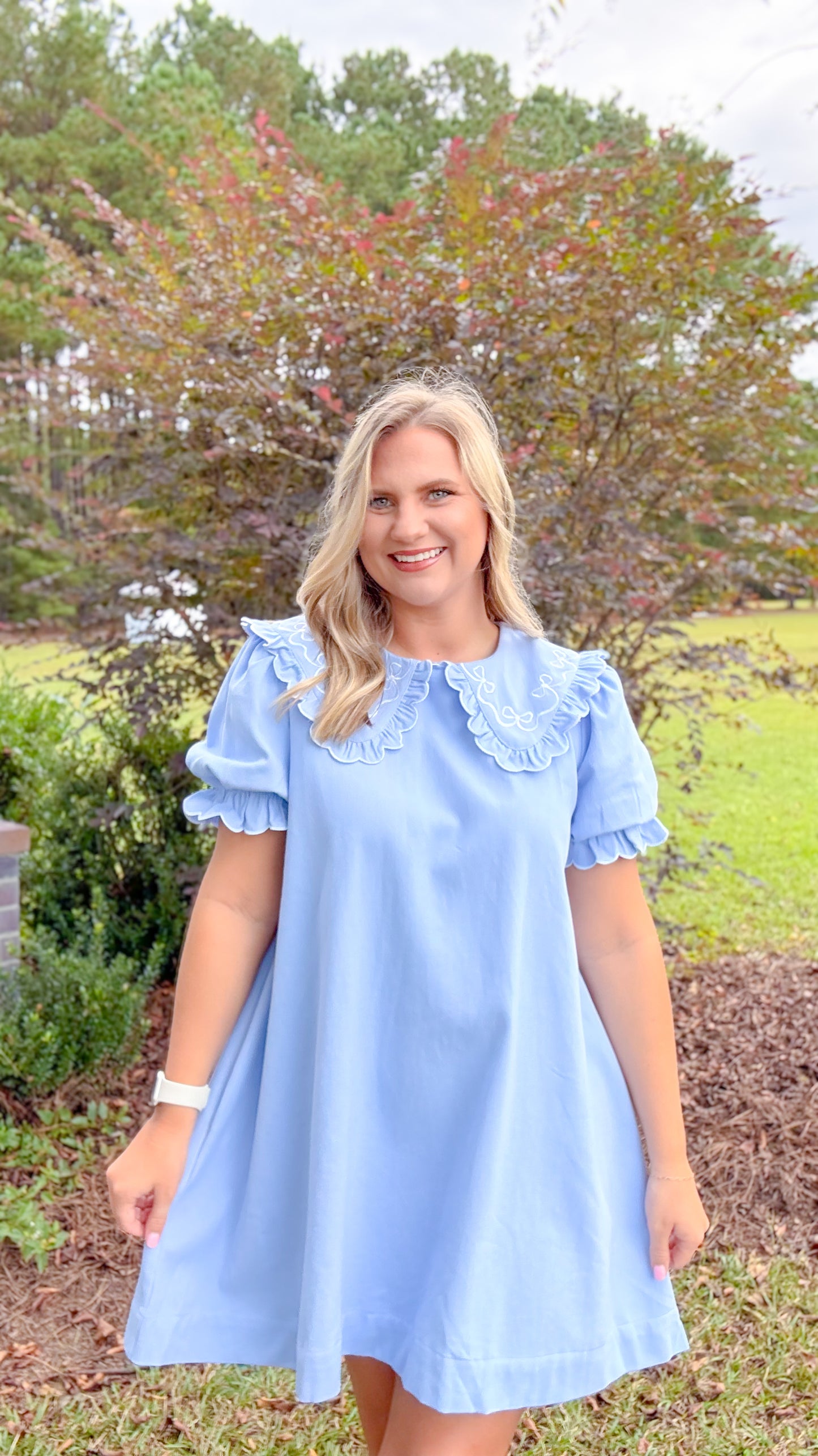 Denim Dreams Dress