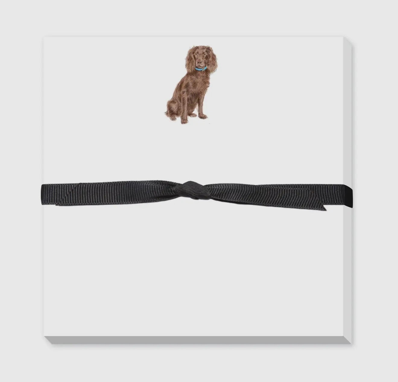 Boykin Spaniel - Doodle Notepad