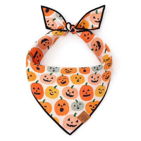 Jack-O-Lantern Bandana