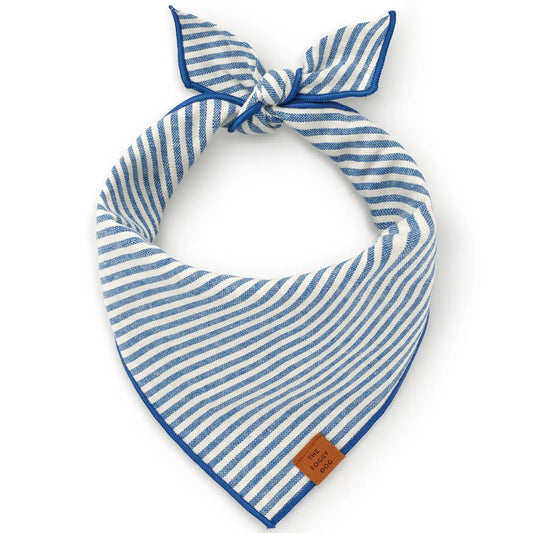 Lake Blue Bandana